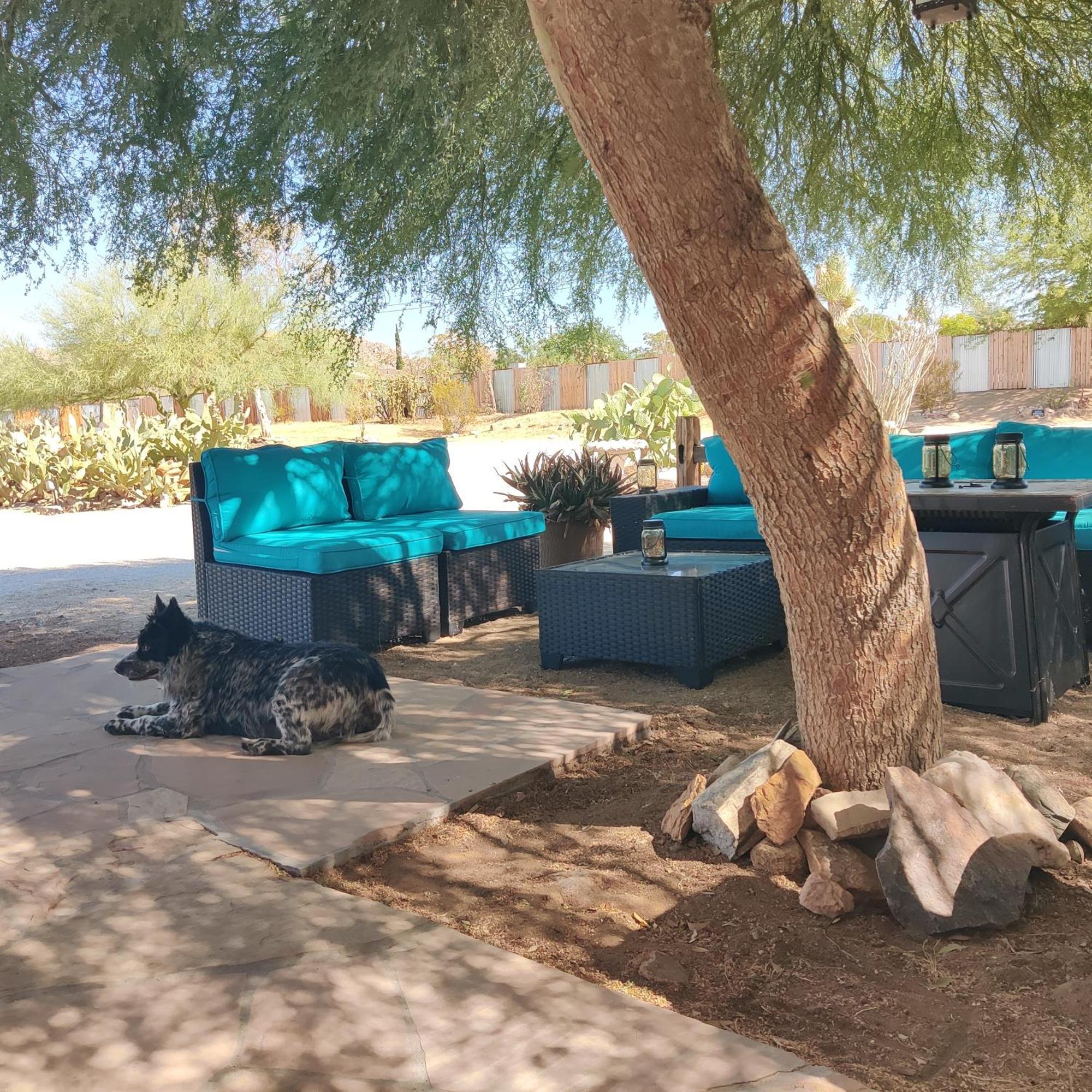 Joshua Tree Ranch House Motel - Downtown - Room #8 Exterior photo